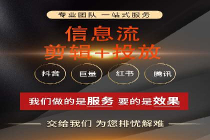 不同平台的信息流广告投放策略及成功案例对比